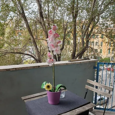 Roma Trastevere Holiday-2